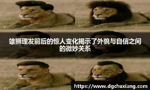 bwin必赢国际